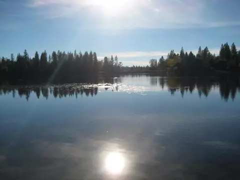 8101 Lakeside Dr, Mountain Ranch, CA 95246 photo 53