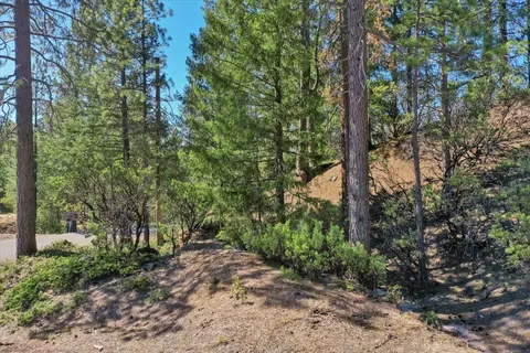 13014 Sailor Flat Rd, Nevada City, CA 95959
