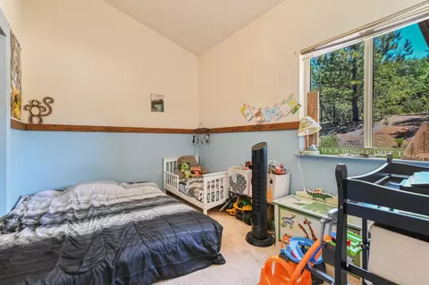 14609 Shake Ridge Rd, Sutter Creek, CA 95685 photo 21