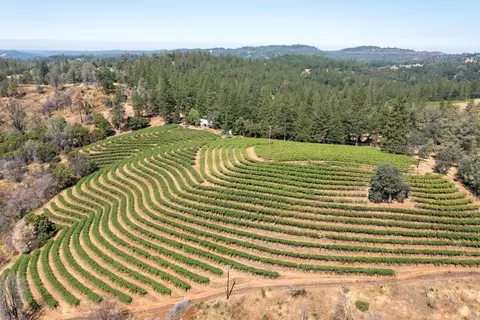 4181 Eagle Canyon Rd, Placerville, CA 95667 photo 37