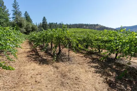 4181 Eagle Canyon Rd, Placerville, CA 95667 photo 27