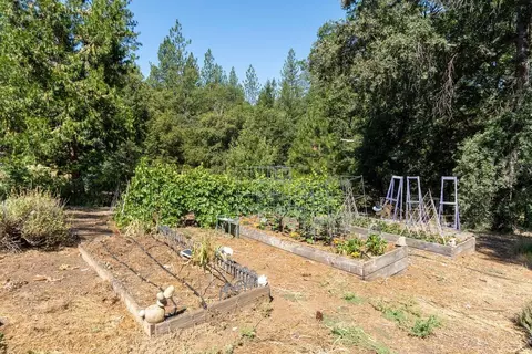 4181 Eagle Canyon Rd, Placerville, CA 95667 photo 36