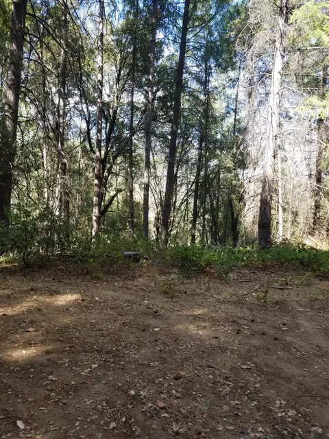 700 Cedar Ln, West Point, CA 95255 photo 5