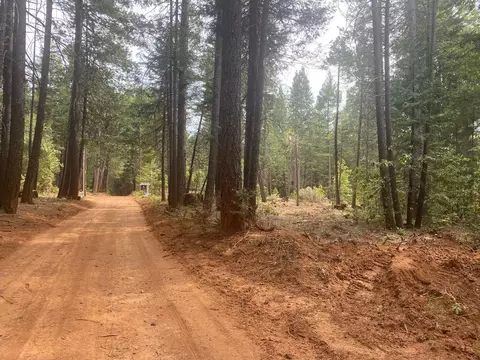 8180 Wild Horse Trl, Georgetown, CA 95634