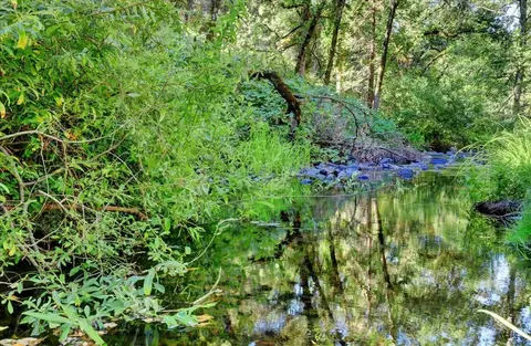 17355 Brewer Rd, Grass Valley, CA 95949 photo 57