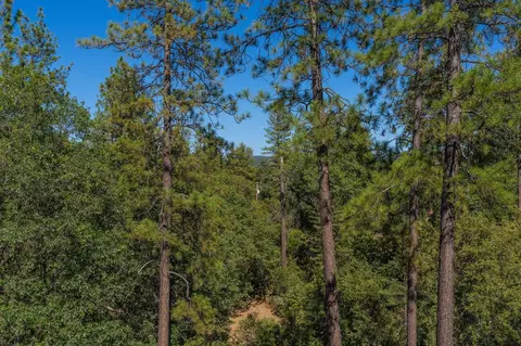 15181 Sutter Highlands Dr, Sutter Creek, CA 95685 photo 39
