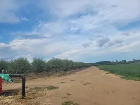 300 State Highway 99, Gridley, CA 95948 photo 12
