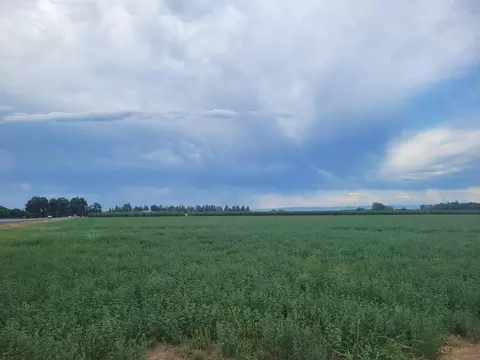 300 State Highway 99, Gridley, CA 95948 photo 3