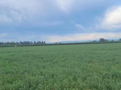 300 State Highway 99, Gridley, CA 95948 photo 4