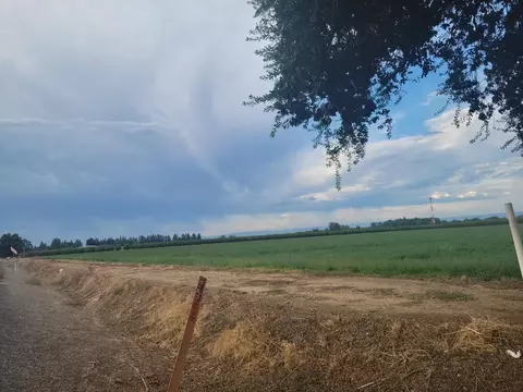 300 State Highway 99, Gridley, CA 95948 photo 10