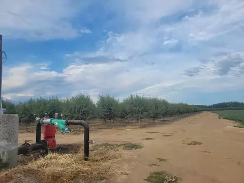 300 State Highway 99, Gridley, CA 95948 photo 8