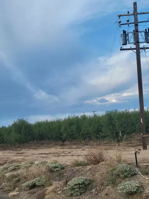 300 State Highway 99, Gridley, CA 95948 photo 9