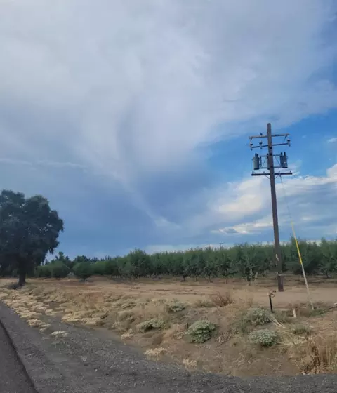 300 State Highway 99, Gridley, CA 95948 photo 16