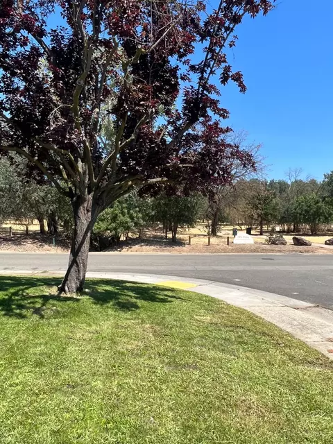 5900 Camray Cir, Carmichael, CA 95608 photo 4