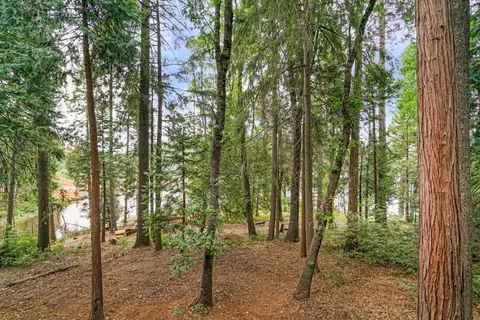 6243 Drop Off Rd, Pollock Pines, CA 95726 photo 16