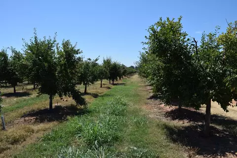 1200 Lower Honcut Rd, Honcut, CA 95966 photo 18
