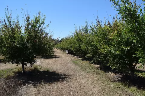 1200 Lower Honcut Rd, Honcut, CA 95966 photo 13