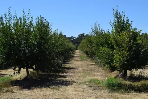 1200 Lower Honcut Rd, Honcut, CA 95966 photo 11