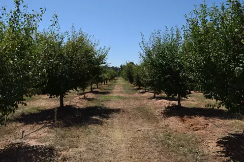1200 Lower Honcut Rd, Honcut, CA 95966 photo 15