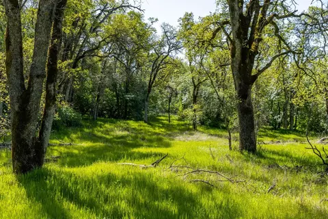 820 Brown Gables Rd, Auburn, CA 95603 photo 29