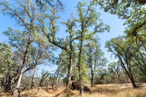 820 Brown Gables Rd, Auburn, CA 95603 photo 43