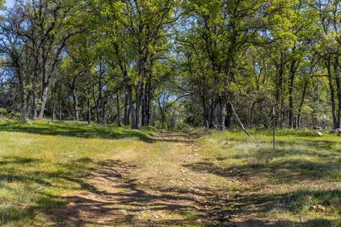 820 Brown Gables Rd, Auburn, CA 95603 photo 9