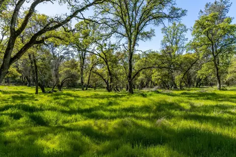 820 Brown Gables Rd, Auburn, CA 95603 photo 21
