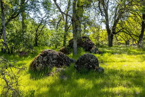 820 Brown Gables Rd, Auburn, CA 95603 photo 15