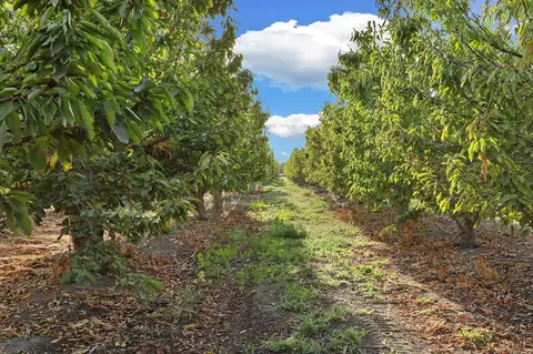 Other - 11791 N Alpine Rd, Lodi, CA 95240 photo 6 of 6