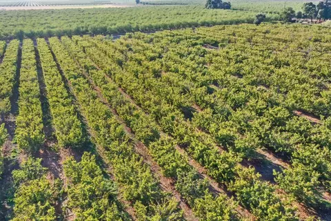 View/Area - 11791 N Alpine Rd, Lodi, CA 95240 photo 10 of 11