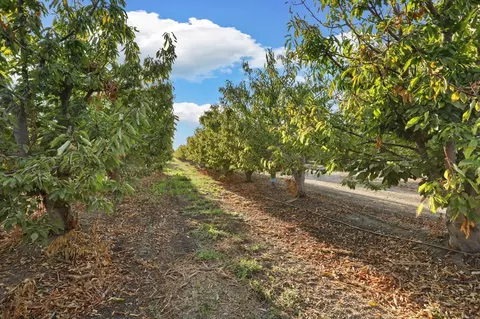 View/Area - 11791 N Alpine Rd, Lodi, CA 95240 photo 3 of 11