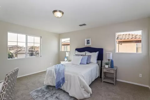 16852 Tulip Tree Way, Lathrop, CA 95330 photo 37
