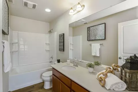 16852 Tulip Tree Way, Lathrop, CA 95330 photo 34