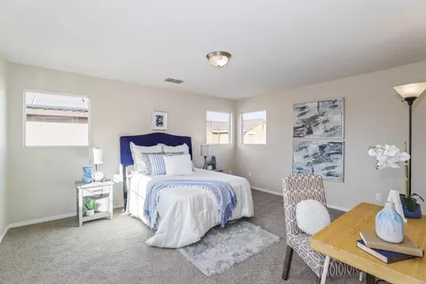 16852 Tulip Tree Way, Lathrop, CA 95330 photo 36