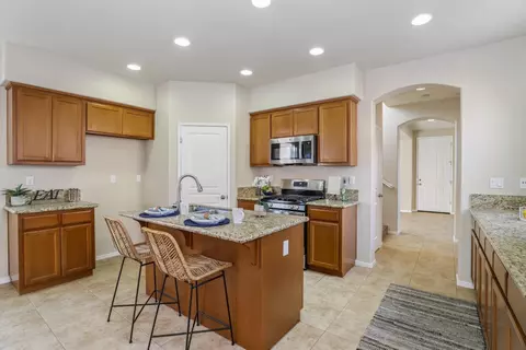 16852 Tulip Tree Way, Lathrop, CA 95330 photo 14