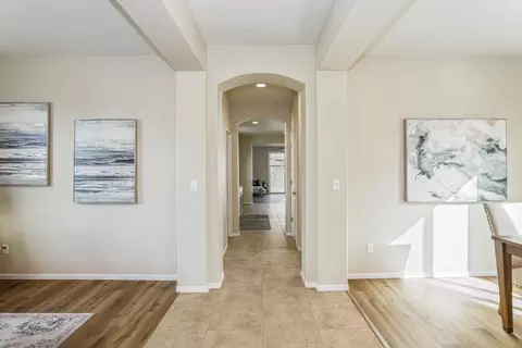 16852 Tulip Tree Way, Lathrop, CA 95330 photo 12