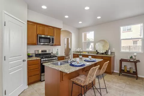 16852 Tulip Tree Way, Lathrop, CA 95330 photo 17