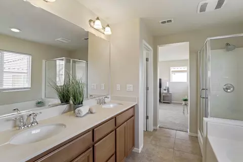16852 Tulip Tree Way, Lathrop, CA 95330 photo 41