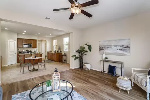 16852 Tulip Tree Way, Lathrop, CA 95330 photo 26
