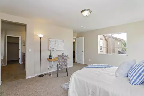 16852 Tulip Tree Way, Lathrop, CA 95330 photo 38