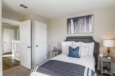16852 Tulip Tree Way, Lathrop, CA 95330 photo 32