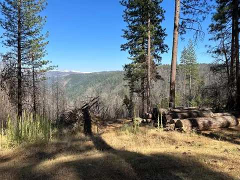 5321 Overland Way, Placerville, CA 95667 photo 10