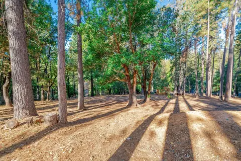 6327 Log Cabin Ln, Placerville, CA 95667 photo 44