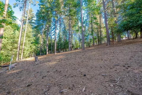 6327 Log Cabin Ln, Placerville, CA 95667 photo 52