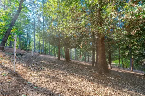 6327 Log Cabin Ln, Placerville, CA 95667 photo 55