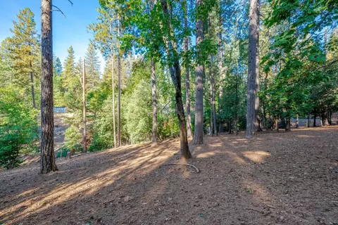 6327 Log Cabin Ln, Placerville, CA 95667 photo 51