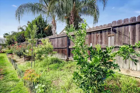 1955 Cinnamon Teal Ct, Gridley, CA 95948 photo 38