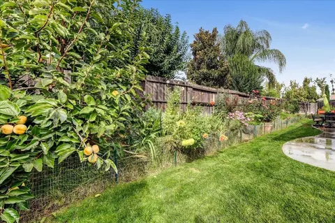 1955 Cinnamon Teal Ct, Gridley, CA 95948 photo 36