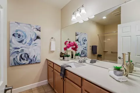1370 Mill Run Ct, Manteca, CA 95336 photo 21