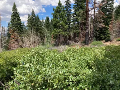 0 Poor Boy Rd, Markleeville, CA 96120 photo 7